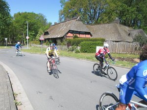 RTF Celle Rocky 48